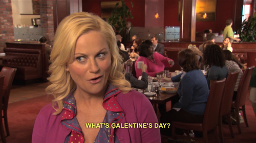 Galentines Day Parks And Rec
